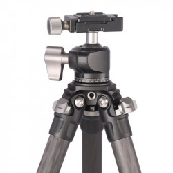 LEOFOTO Trépied Ranger LS-224C + Rotule LH-25