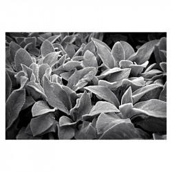 NIKON Objectif NIKKOR Z 28mm/2.8 SE Garanti 2 ans