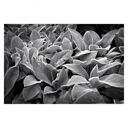 NIKON Objectif NIKKOR Z 28mm/2.8 SE Garanti 2 ans