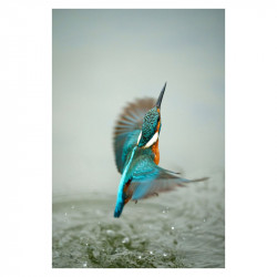 SONY Objectif SEL FE 70-200mm f/2.8 GM II Garanti 2 ans