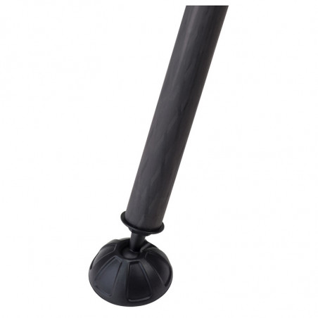 BENRO Monopode photo carbone Mach3 MMA38C