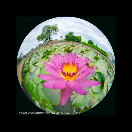 LAOWA Objectif 4mm f/2.8 MFT Circular Fisheye