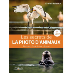 Les secrets de la photo d'animaux