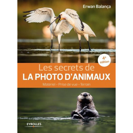 Les secrets de la photo d'animaux