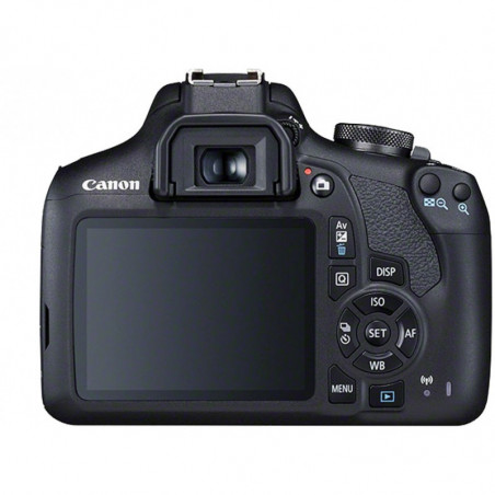 CANON Reflex EOS 2000D + Objectif EF-S 18-55mm f/3.5-5.6 IS II