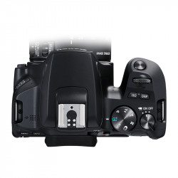 CANON Reflex EOS 250D Nu Garanti 3 ans