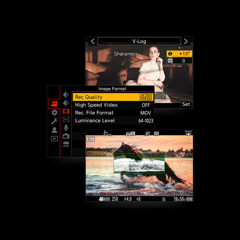PANASONIC+Mise+à+jour+logicielle+VLOG+DMW-SFU2+pour+S1