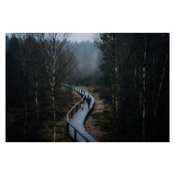 SIGMA Objectif 50mm f/1.4 DG DN ART Compatible avec Sony FE Garanti 3 ans