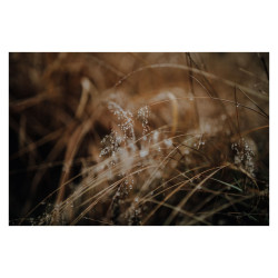 SIGMA Objectif 50mm f/1.4 DG DN ART Compatible avec Sony FE Garanti 3 ans