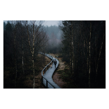 SIGMA Objectif 50mm f/1.4 DG DN ART Compatible avec monture L Garanti 3 ans