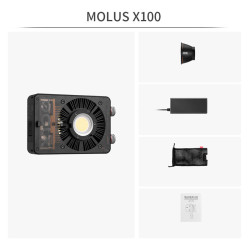 ZHIYUN Torche MOLUS X100