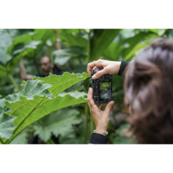 SONY Hybride ALPHA 7C R NOIR + Objectif SIGMA 28-70mm f/2.8 DG DN Contemporary Garanti 3 ans