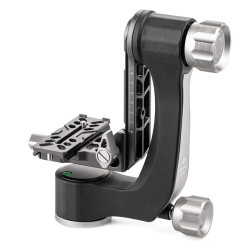 BENRO Rotule pendulaire GH2N