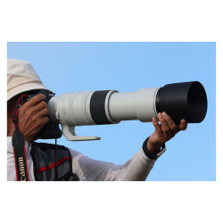 CANON Objectif RF 200-800mm f/6.3-9 IS USM Garanti 2 ans