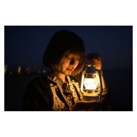 NIKON Objectif NIKKOR Z 24mm DX f/1.7 Garanti 2 ans