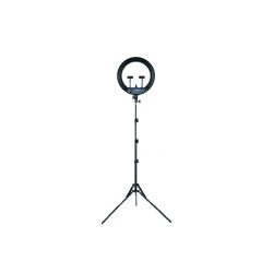 STARBLITZ SRING 21'' kit anneau lumineux 52cm - 72W