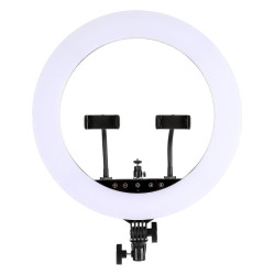 STARBLITZ SRING 21'' kit anneau lumineux 52cm - 72W