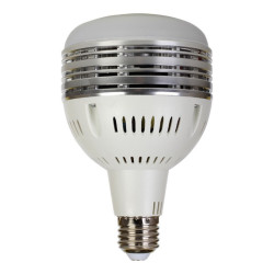 STARBLITZ Lampe bulb de remplacement 60W