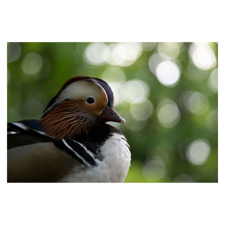 TAMRON Objectif 50-400mm f/4.5-6.3 Di III VC VXD compatible avec NIKON Z Garanti 2 ans