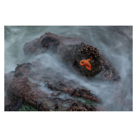 SIGMA Objectif 28-105mm f/2.8 ART compatible avec monture L Garanti 3 ans