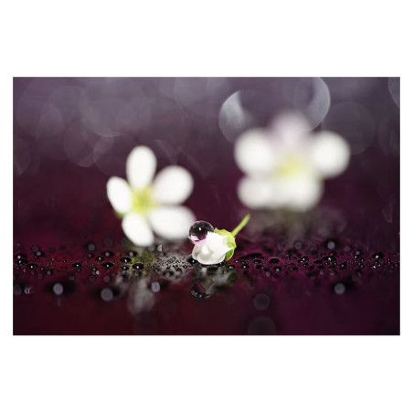 SONY Objectif SEL FE 90mm f/2.8 Macro G OSS Garanti 2 ans