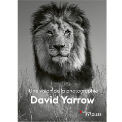 David Yarrow, une vision de la photographie