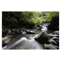 CANON Objectif RF 16-28mm f/2.8 IS STM Garanti 2 ans