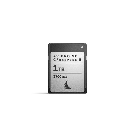 ANGELBIRD Carte Cfexpress AV PRO Se Type B 1TB v4