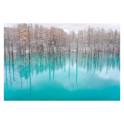 SIGMA Objectif 35mm f/2 DG Noir Contemporary compatible avec Monture L Garanti 3 ans