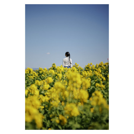 SIGMA Objectif 17-40mm f/1.8 DC ART compatible avec Monture L Garanti 3 ans