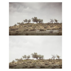 URTH Filtre 72mm Soft Graduated ND8 Lens Filter (Plus+) 