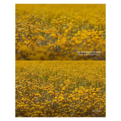 URTH Filtre 77mm Magnetic Essential Kit (Plus+) (UV+CPL+ND8+ND1000)