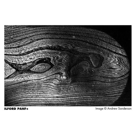 ILFORD Pellicule PAN F + 135-36 POSES (50 ISO) Film Noir et Blanc