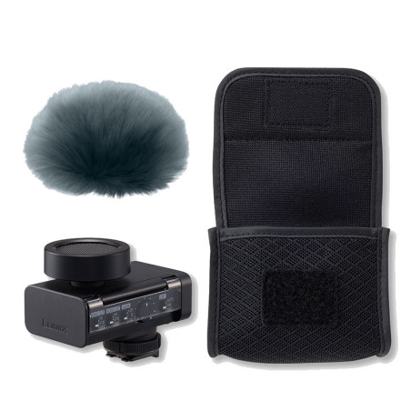 PANASONIC Microphone DMW-DMS1