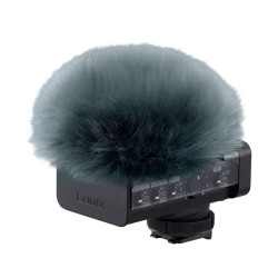 PANASONIC Microphone DMW-DMS1