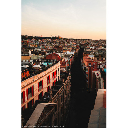 SONY Alpha 7C R Silver + SAMYANG Objectif AF 24-60mm F2.8 FE Garanti 3 ans