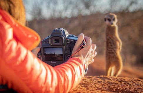 Lire la suite à propos de l’article Quel appareil choisir pour la photo animalière ?