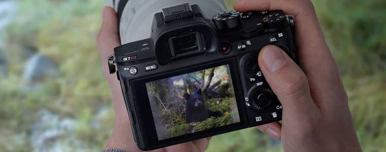 Appareil photo pour photographie animalière