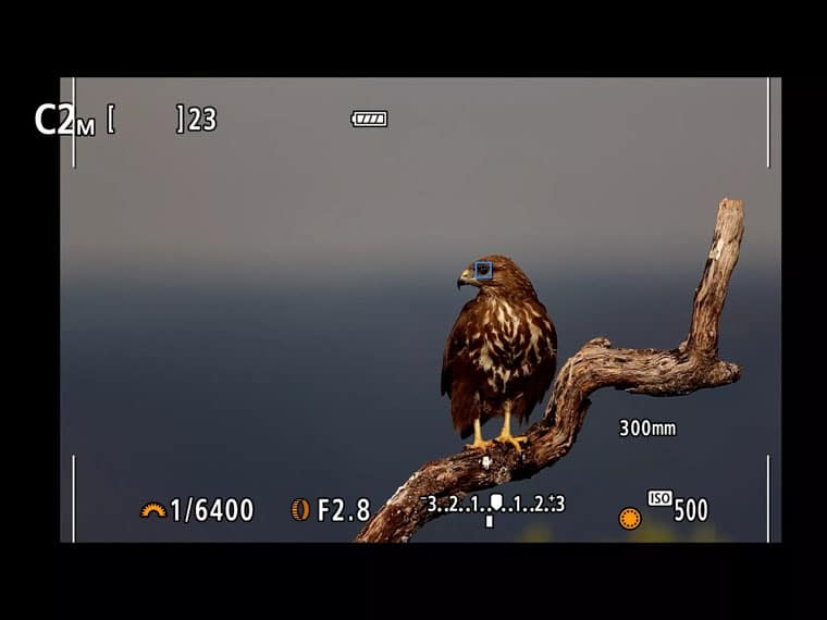 L'appareil photo Canon EOS R7 propose l'autofocus CMOS Dual Pixel II