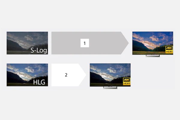 Hybrid Log-Gamma