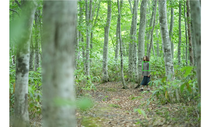 Estimation de la pose humaine