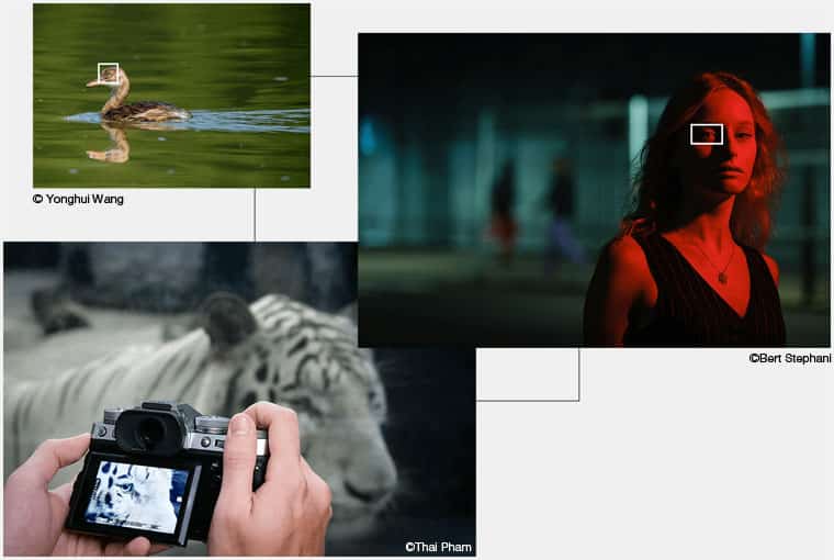 Nouvelle technologie de reconnaissance de sujets