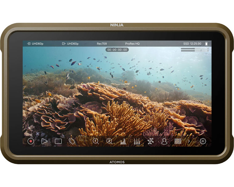 Moniteur-enregistreur Atomos Ninja