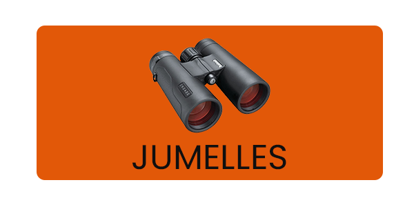 Découvrir toutes nos jumelles