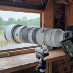 Test du Sony 400-800mm G : que vaut le nouveau téléobjectif de Sony ?