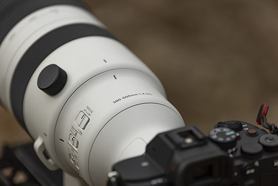 Objectif Sigma 300-600mm f/4 DG OS Sports