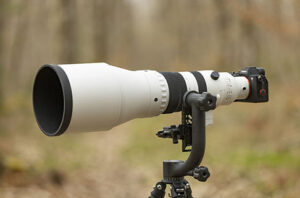 Lire la suite à propos de l’article Test du Sigma 300-600mm f/4 DG OS Sports : un téléobjectif pro pour la photo animalière et sportive