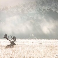 Photo Nicolas de Vaulx