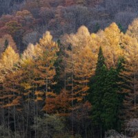 Photo prise avec le Sony Alpha 1