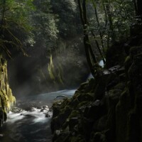 Photo prise avec l'objectif Sony FE 50mm F1.2 GM